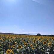 ヒメ日記 2025/09/24 08:45 投稿 ちい 素人妻達☆マイふぇらレディー