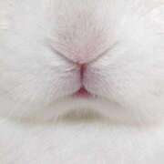 ヒメ日記 2025/10/06 21:28 投稿 ちい 素人妻達☆マイふぇらレディー