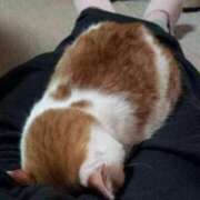 ヒメ日記 2025/10/22 10:45 投稿 ちい 素人妻達☆マイふぇらレディー