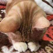 ヒメ日記 2025/10/23 23:16 投稿 ちい 素人妻達☆マイふぇらレディー