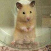 ヒメ日記 2025/10/28 00:17 投稿 ちい 素人妻達☆マイふぇらレディー