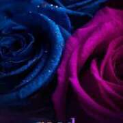 ヒメ日記 2025/10/29 00:30 投稿 ちい 素人妻達☆マイふぇらレディー