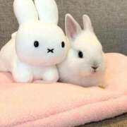 ヒメ日記 2025/11/02 18:45 投稿 ちい 素人妻達☆マイふぇらレディー