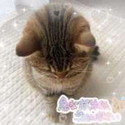 ヒメ日記 2025/11/19 23:15 投稿 ちい 素人妻達☆マイふぇらレディー