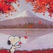 ヒメ日記 2025/11/20 08:15 投稿 ちい 素人妻達☆マイふぇらレディー