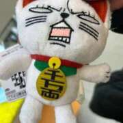 ヒメ日記 2025/11/21 15:02 投稿 ちい 素人妻達☆マイふぇらレディー