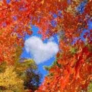 ヒメ日記 2025/11/22 16:03 投稿 ちい 素人妻達☆マイふぇらレディー