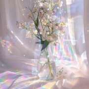 ヒメ日記 2025/12/11 07:30 投稿 ちい 素人妻達☆マイふぇらレディー