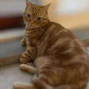 ヒメ日記 2025/12/16 14:15 投稿 ちい 素人妻達☆マイふぇらレディー