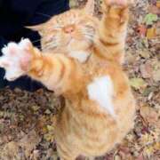 ヒメ日記 2025/12/16 16:30 投稿 ちい 素人妻達☆マイふぇらレディー