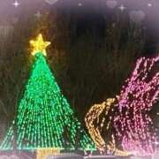 ヒメ日記 2025/12/17 14:15 投稿 ちい 素人妻達☆マイふぇらレディー