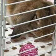 ヒメ日記 2026/02/08 00:19 投稿 ちい 素人妻達☆マイふぇらレディー