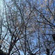 ヒメ日記 2026/02/16 14:08 投稿 ちい 素人妻達☆マイふぇらレディー