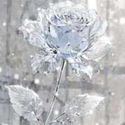 ヒメ日記 2026/02/19 10:38 投稿 ちい 素人妻達☆マイふぇらレディー