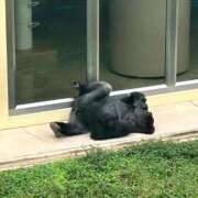 ヒメ日記 2026/02/19 17:48 投稿 ちい 素人妻達☆マイふぇらレディー