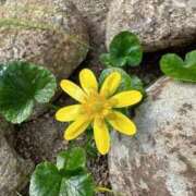 ヒメ日記 2026/03/02 13:48 投稿 ちい 素人妻達☆マイふぇらレディー