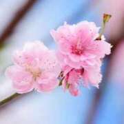 ヒメ日記 2026/03/14 10:11 投稿 ちい 素人妻達☆マイふぇらレディー