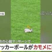 ヒメ日記 2026/03/16 19:28 投稿 ちい 素人妻達☆マイふぇらレディー