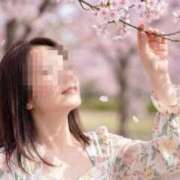 ヒメ日記 2026/04/01 11:58 投稿 ちい 素人妻達☆マイふぇらレディー