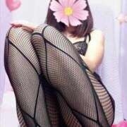 ヒメ日記 2026/04/14 10:59 投稿 ちい 素人妻達☆マイふぇらレディー