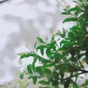 ヒメ日記 2026/04/24 10:34 投稿 ちい 素人妻達☆マイふぇらレディー