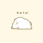 ヒメ日記 2026/05/19 10:38 投稿 ちい 素人妻達☆マイふぇらレディー