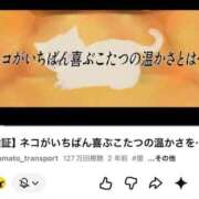 ヒメ日記 2026/09/07 11:51 投稿 ちい 素人妻達☆マイふぇらレディー