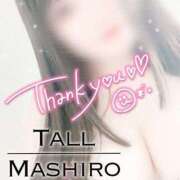 MASHIRO 【　𝕋𝕙𝕒𝕟𝕜 𝕪𝕠𝕦    】 TALL