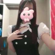 ヒメ日記 2026/01/15 19:02 投稿 るり Wonder7 (ワンダー7)