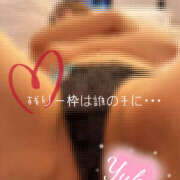 ヒメ日記 2025/03/14 17:24 投稿 ゆうか Hip's千葉駅前店