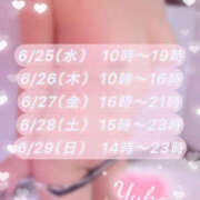 ヒメ日記 2025/06/23 21:03 投稿 ゆうか Hip's千葉駅前店