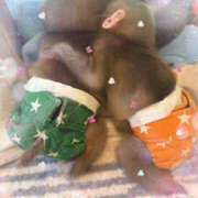 ヒメ日記 2025/09/25 17:02 投稿 ゆうか Hip's千葉駅前店