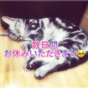 ヒメ日記 2025/10/03 07:52 投稿 ゆうか Hip's千葉駅前店