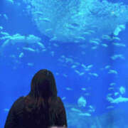 ヒメ日記 2025/10/05 20:42 投稿 ゆうか Hip's千葉駅前店