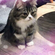 ヒメ日記 2025/10/15 15:03 投稿 ゆうか Hip's千葉駅前店