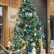 ヒメ日記 2025/12/01 16:02 投稿 ゆうか Hip's千葉駅前店