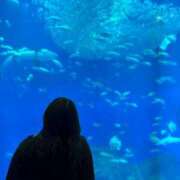 ヒメ日記 2026/02/12 21:42 投稿 ゆうか Hip's千葉駅前店