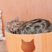 ヒメ日記 2026/03/24 06:02 投稿 ゆうか Hip's千葉駅前店