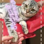 ヒメ日記 2026/05/14 06:02 投稿 ゆうか Hip's千葉駅前店