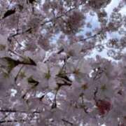 ヒメ日記 2025/03/27 10:48 投稿 石井秋乃(あきの) 東京不倫～とうきょうふりん～