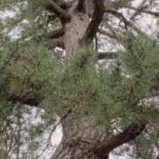 ヒメ日記 2025/10/21 14:58 投稿 石井秋乃(あきの) 東京不倫～とうきょうふりん～