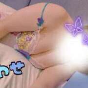 ヒメ日記 2025/11/20 14:28 投稿 石井秋乃(あきの) 東京不倫～とうきょうふりん～