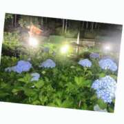 ヒメ日記 2025/06/09 17:06 投稿 とこ デリヘルラボ・クレージュ