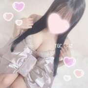 ヒメ日記 2024/12/12 16:26 投稿 ふに 手コキガールズコレクション