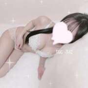 ヒメ日記 2024/12/20 15:43 投稿 ふに 手コキガールズコレクション