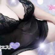 ヒメ日記 2025/03/31 18:19 投稿 かおるこ 即トク奥さん