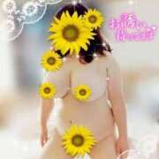 ヒメ日記 2025/04/22 19:50 投稿 かおるこ 即トク奥さん