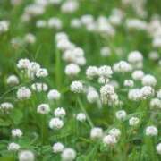 ヒメ日記 2025/04/28 09:01 投稿 かおるこ 即トク奥さん