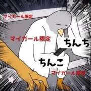 ヒメ日記 2025/07/02 23:53 投稿 かおるこ 即トク奥さん