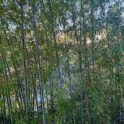 ヒメ日記 2025/11/24 21:20 投稿 かおるこ 即トク奥さん